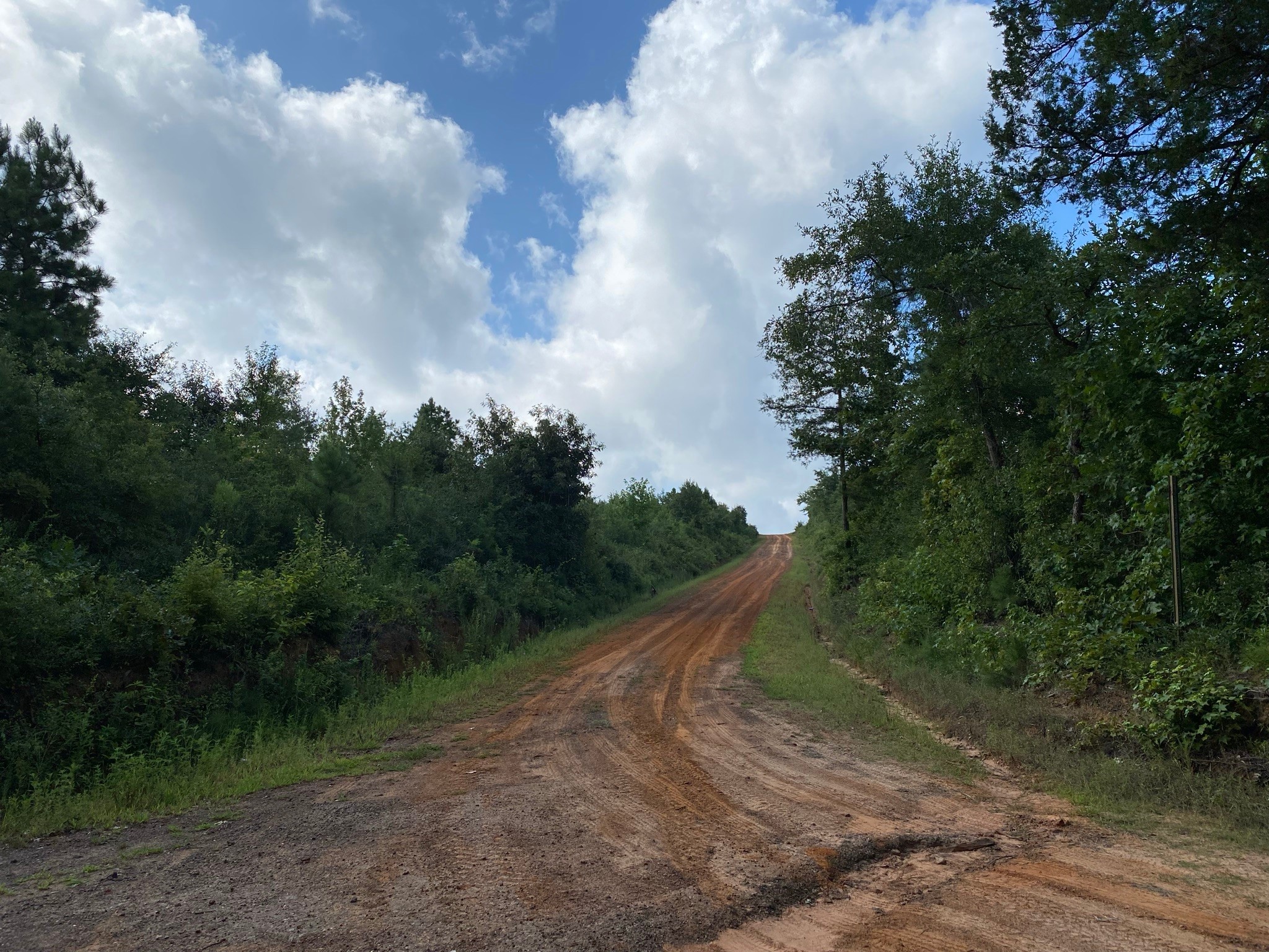 TBD County Road 394 , Tatum, TX, 75691 | 14667229 | Realty Texas LLC