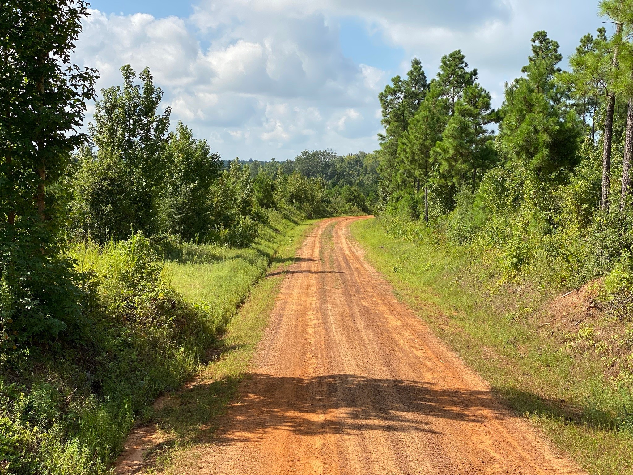 TBD County Road 394 , Tatum, TX, 75691 | 14667229 | Realty Texas LLC