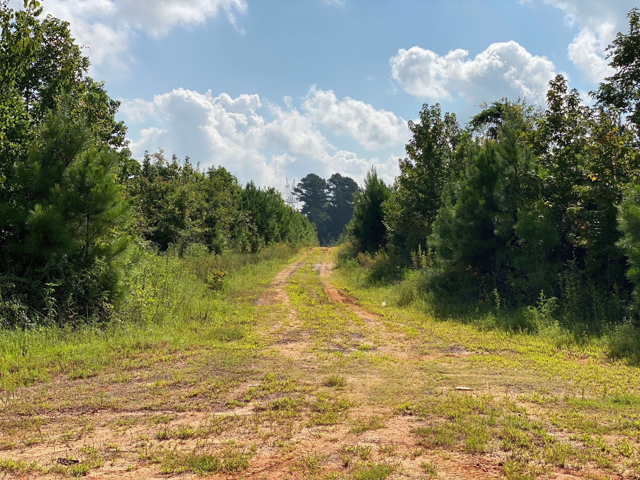 TBD County Road 394 , Tatum, TX, 75691 | 14667229 | Realty Texas LLC