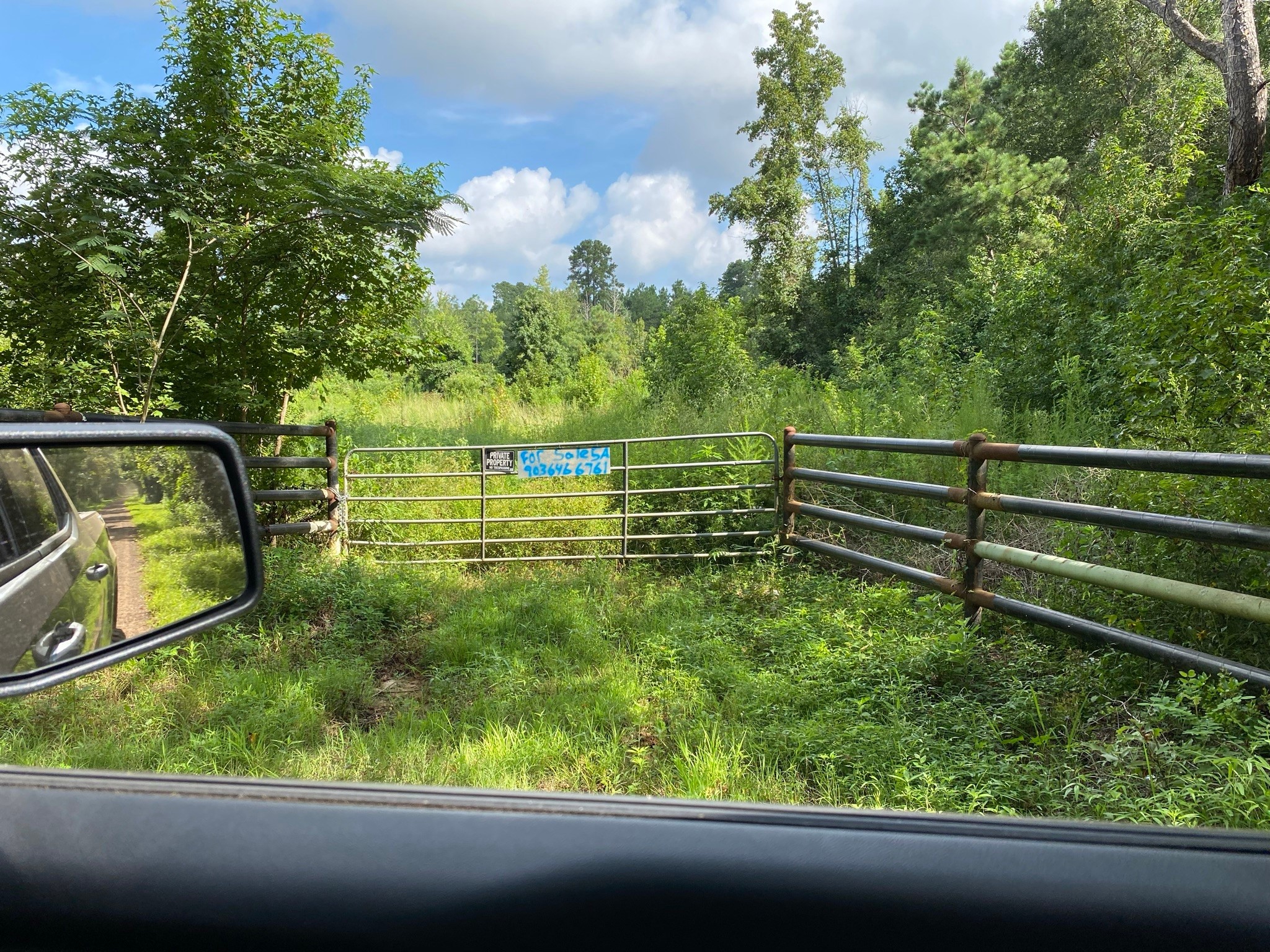 TBD County Road 394 , Tatum, TX, 75691 | 14667229 | Realty Texas LLC