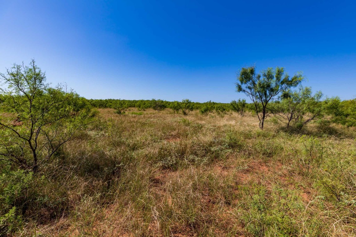 Tract 8 CR 439 , Aspermont, TX, 79502 | 14662334 | Realty Texas LLC