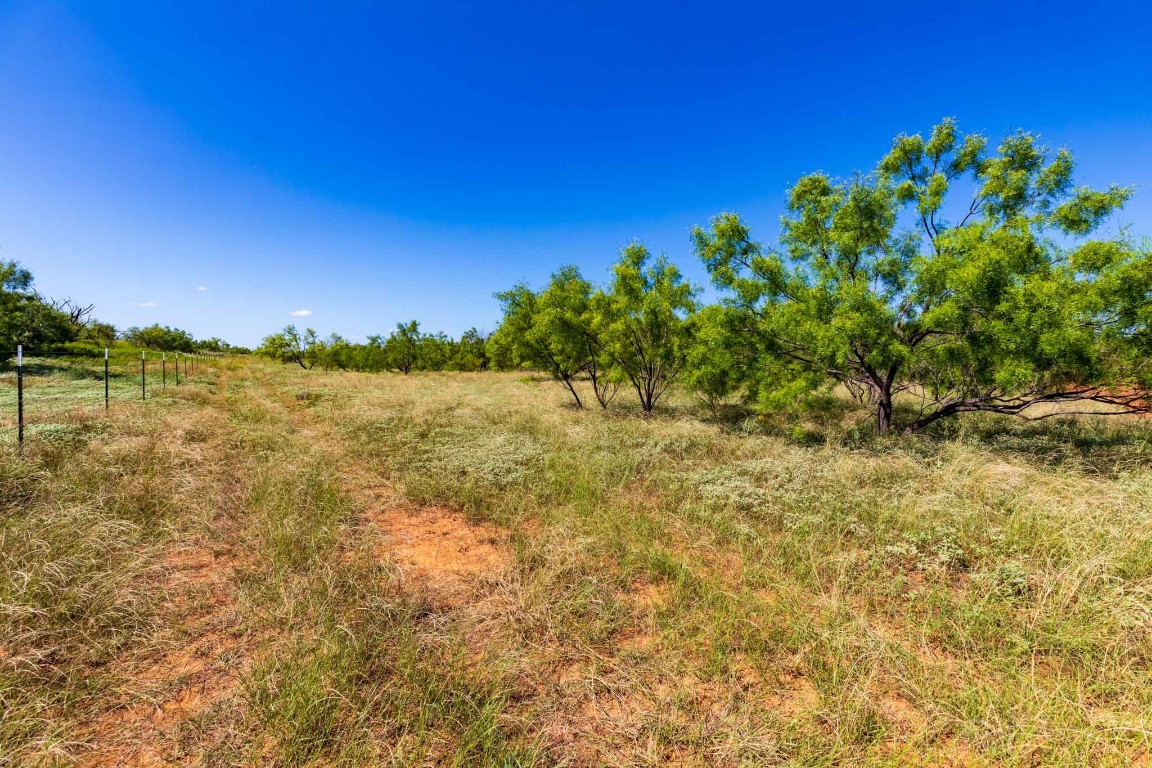 Tract 8 CR 439 , Aspermont, TX, 79502 | 14662334 | Realty Texas LLC