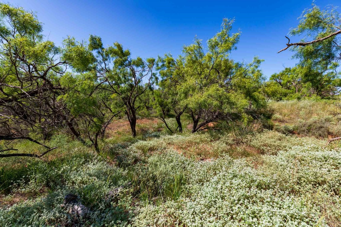 Tract 8 CR 439 , Aspermont, TX, 79502 | 14662334 | Realty Texas LLC