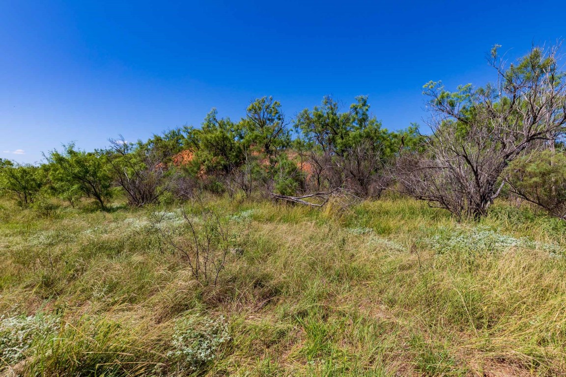 Tract 8 CR 439 , Aspermont, TX, 79502 | 14662334 | Realty Texas LLC