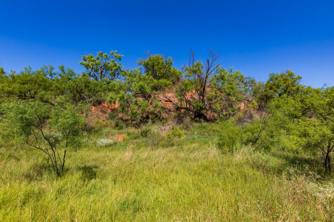 Tract 8 CR 439 , Aspermont, TX, 79502 | 14662334 | Realty Texas LLC
