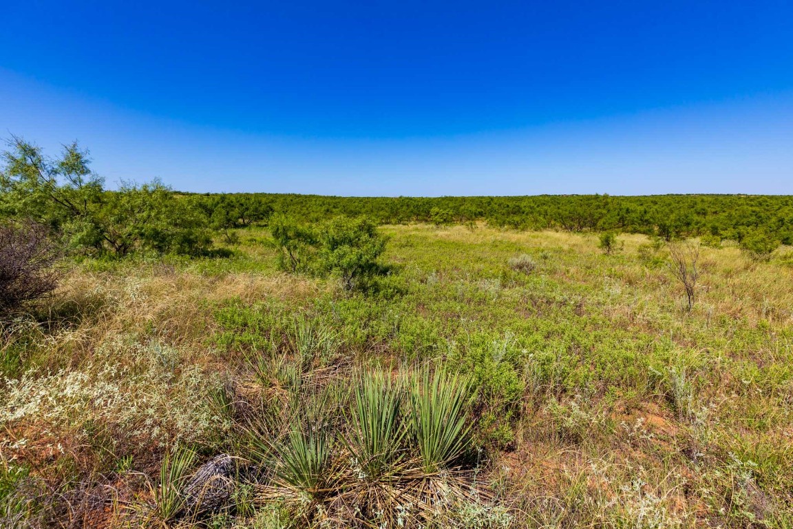 Tract 8 CR 439 , Aspermont, TX, 79502 | 14662334 | Realty Texas LLC