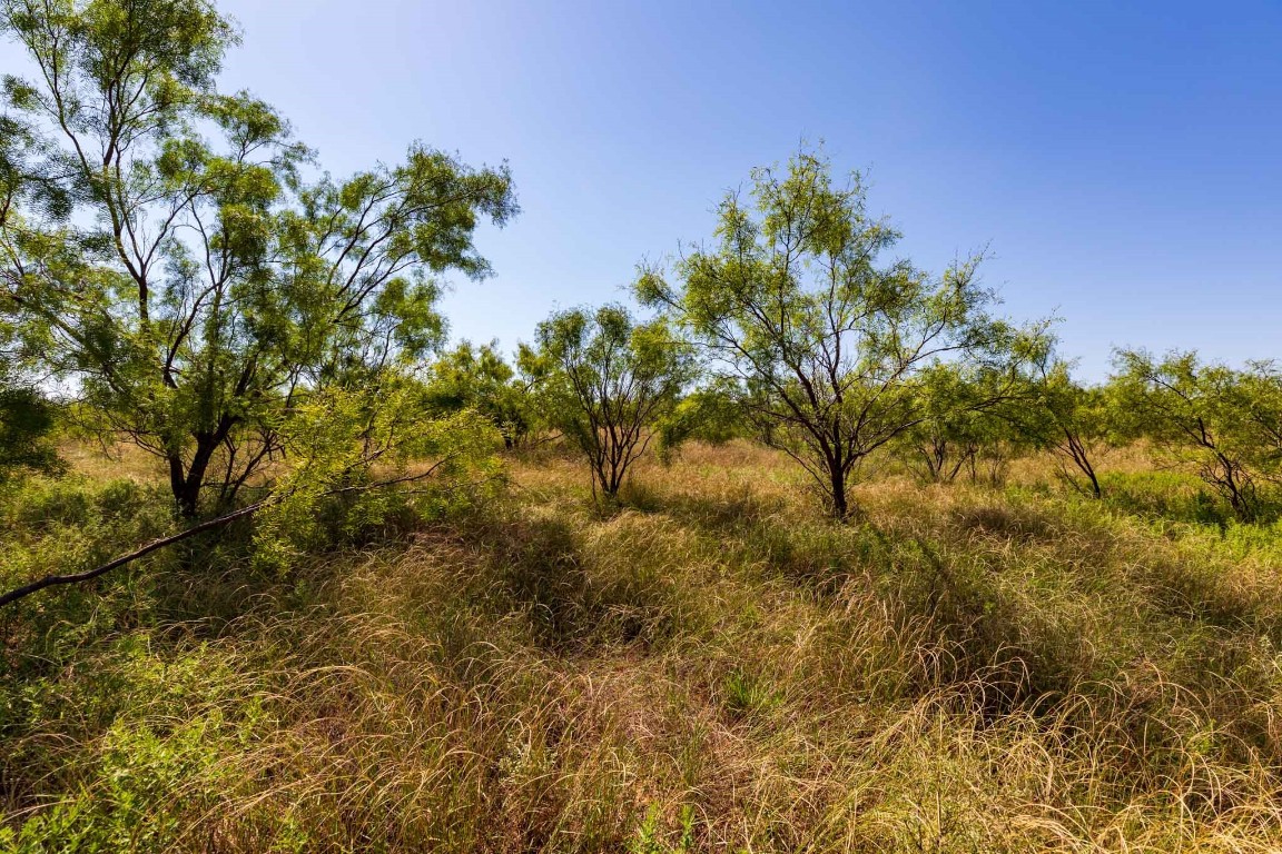 Tract 8 CR 439 , Aspermont, TX, 79502 | 14662334 | Realty Texas LLC