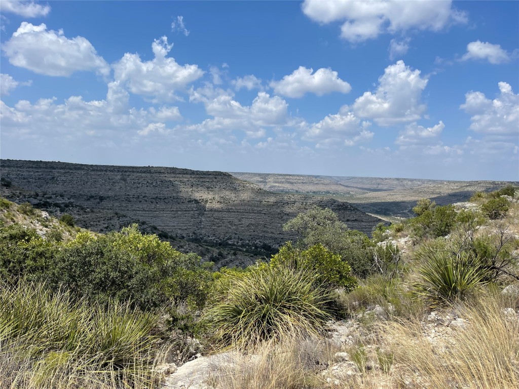 5847 Longley Road , No City, TX, 76943 | 14675956 | Realty Texas LLC