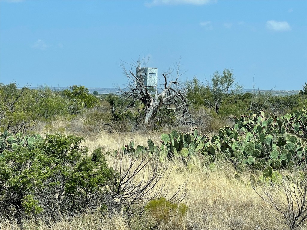 5847 Longley Road , No City, TX, 76943 | 14675956 | Realty Texas LLC