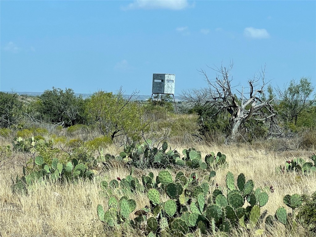 5847 Longley Road , No City, TX, 76943 | 14675956 | Realty Texas LLC