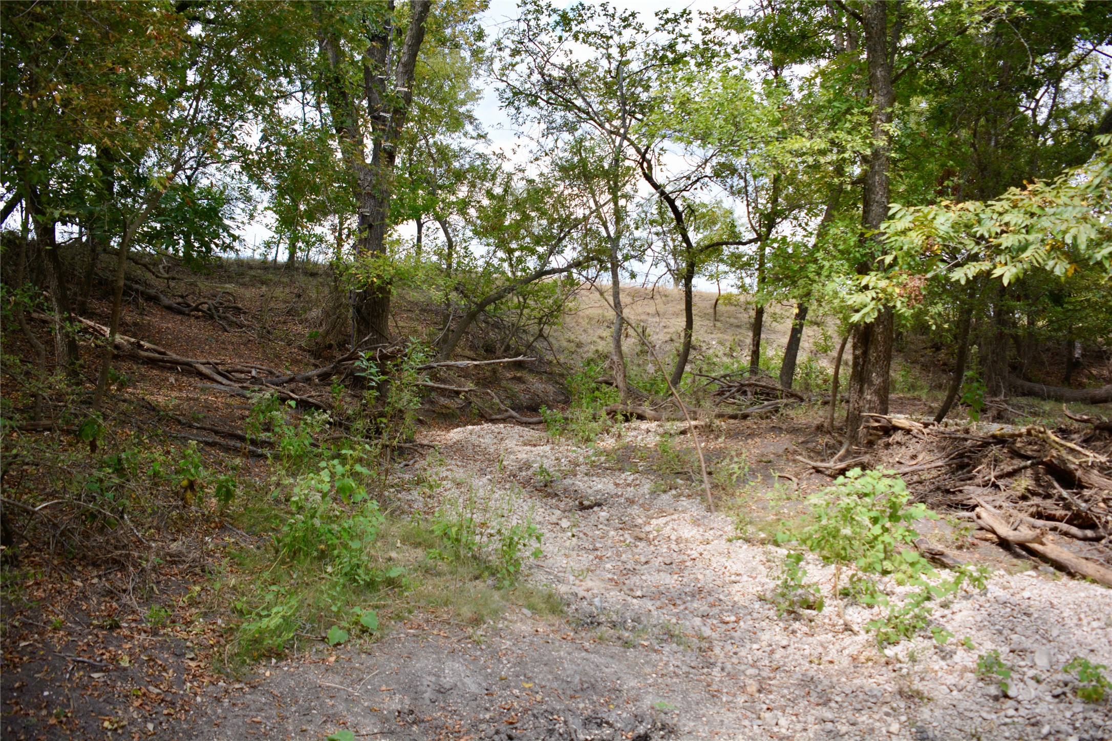 165 CR 262 , Priddy, TX, 76870 | 14681551 | Realty Texas LLC