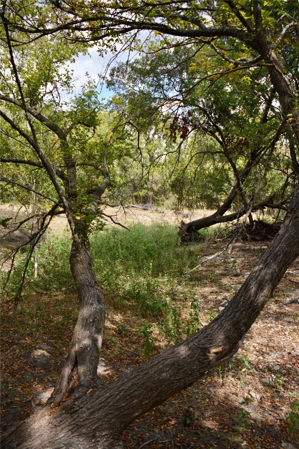 165 CR 262 , Priddy, TX, 76870 | 14681551 | Realty Texas LLC