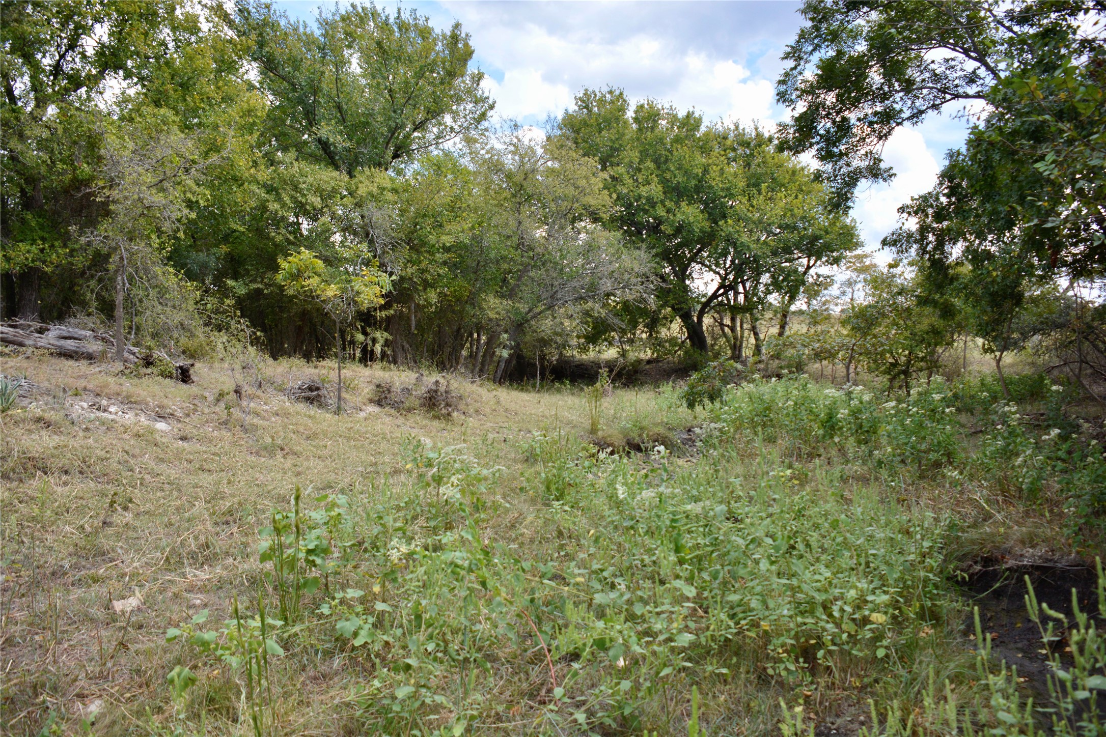 165 CR 262 , Priddy, TX, 76870 | 14681551 | Realty Texas LLC