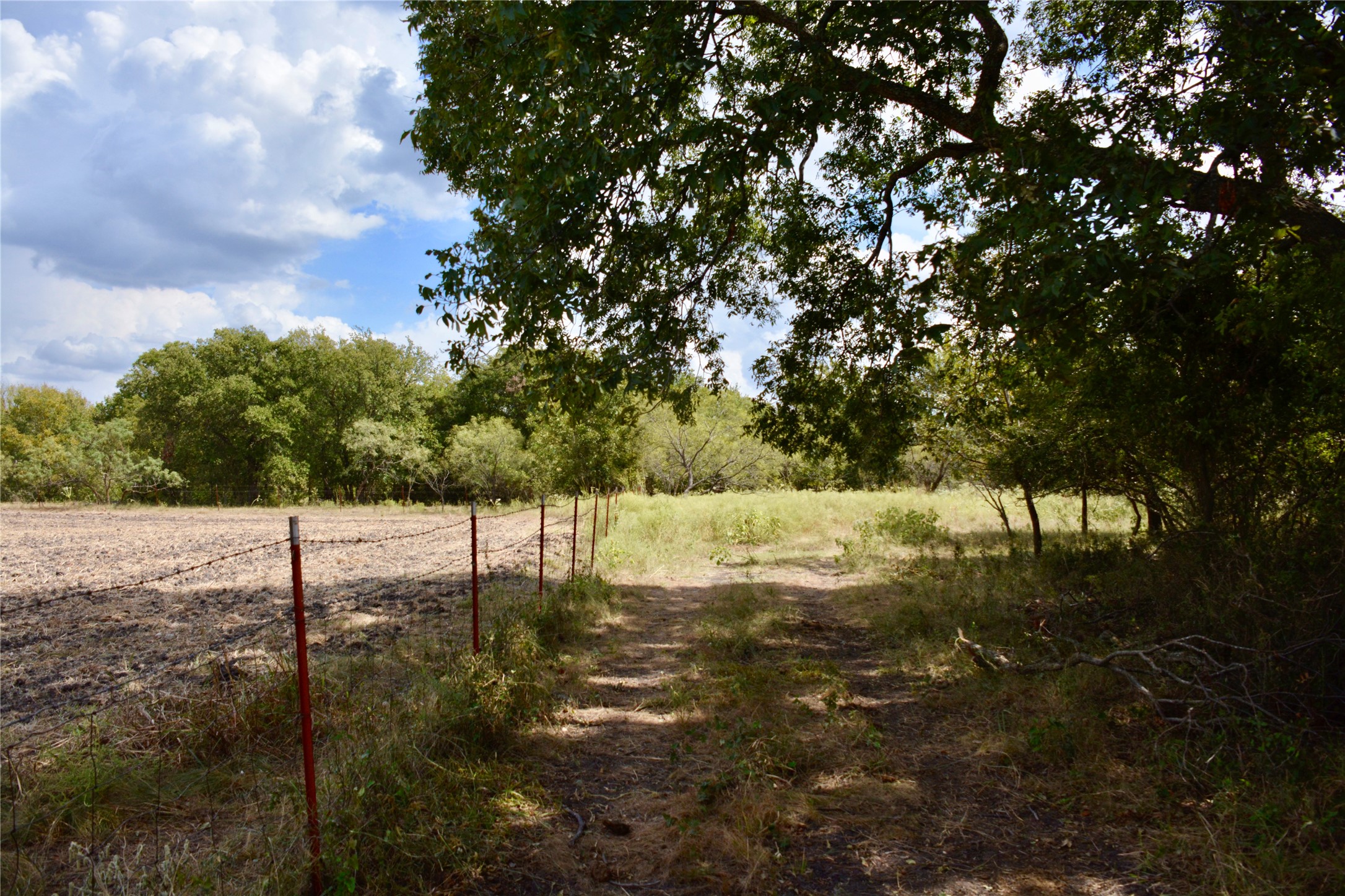 165 CR 262 , Priddy, TX, 76870 | 14681551 | Realty Texas LLC