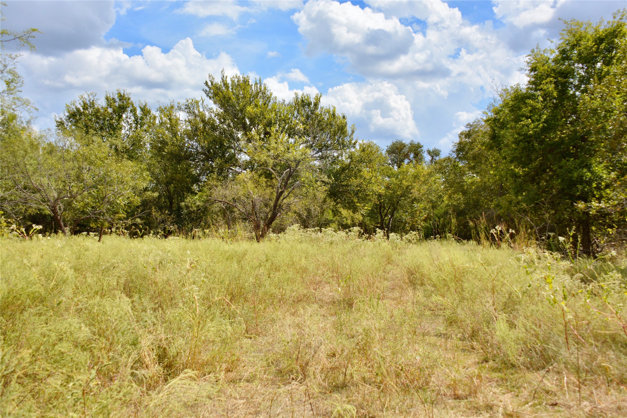 165 CR 262 , Priddy, TX, 76870 | 14681551 | Realty Texas LLC