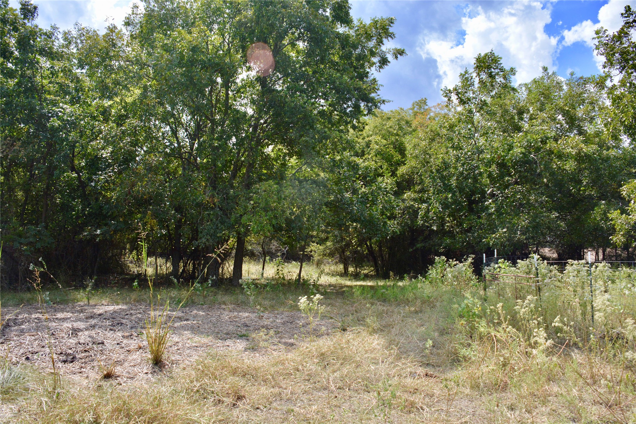 165 CR 262 , Priddy, TX, 76870 | 14681551 | Realty Texas LLC