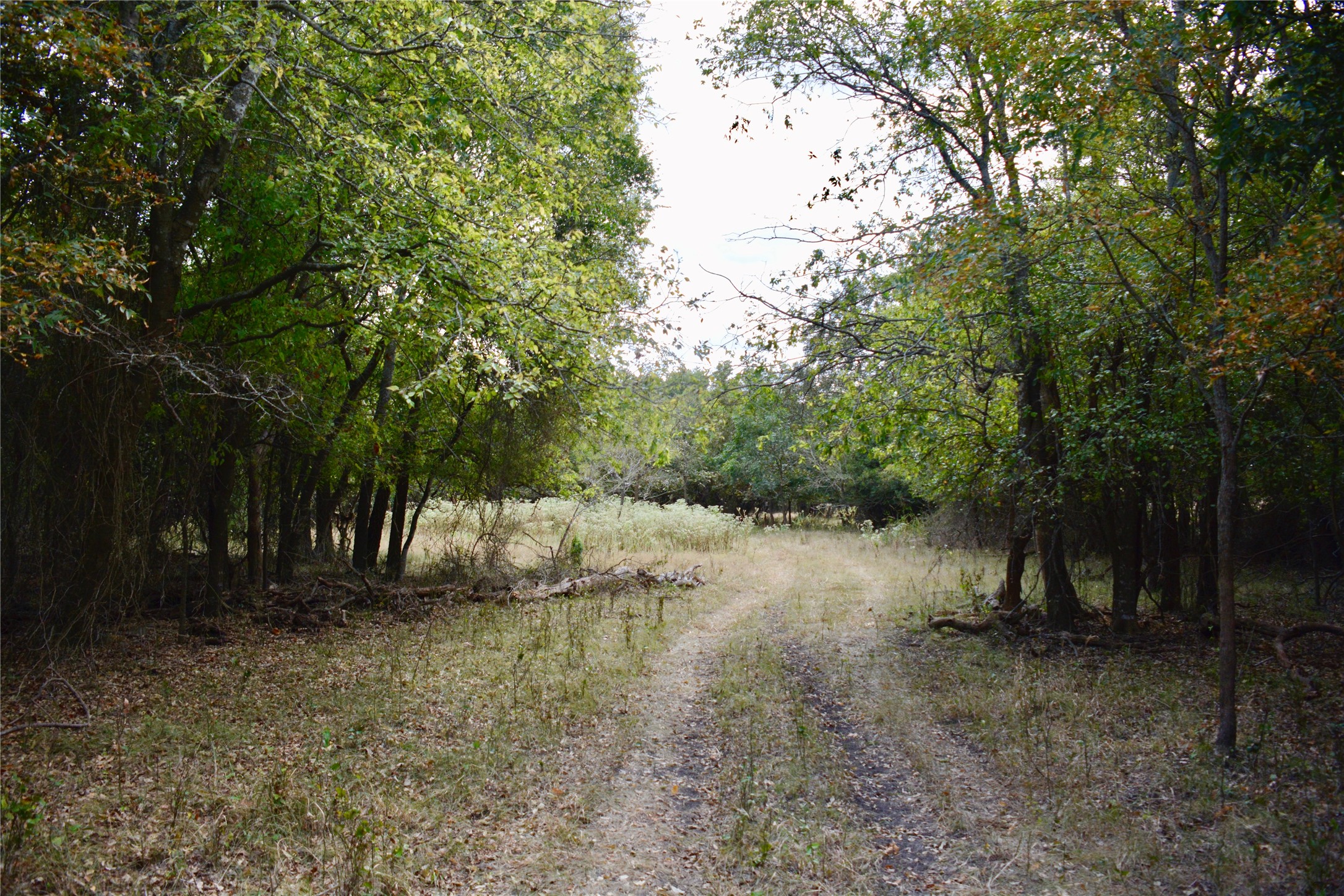 165 CR 262 , Priddy, TX, 76870 | 14681551 | Realty Texas LLC
