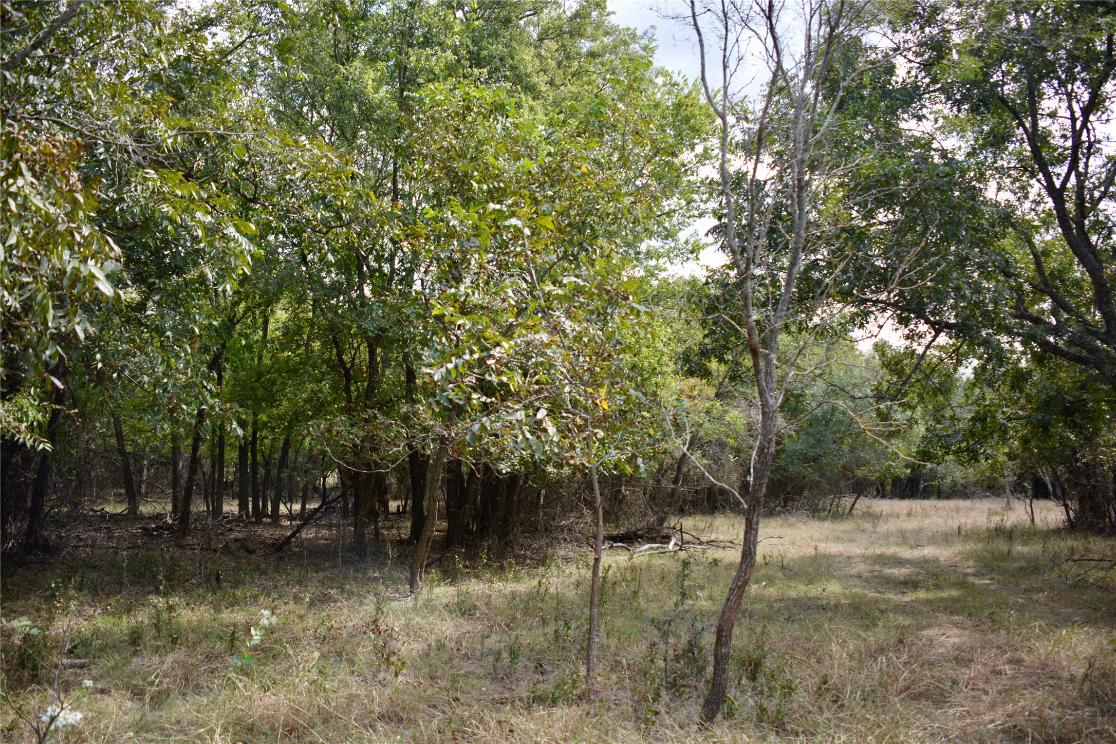 165 CR 262 , Priddy, TX, 76870 | 14681551 | Realty Texas LLC
