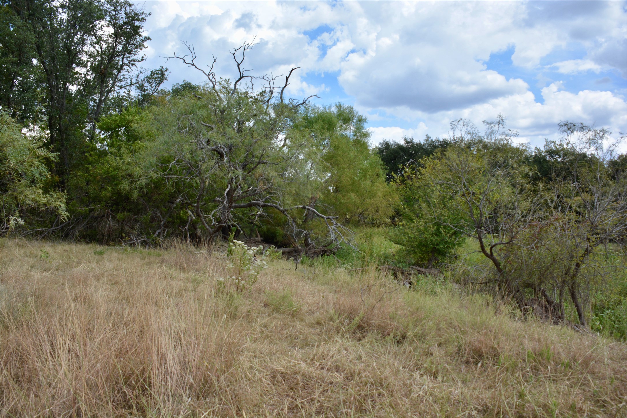 165 CR 262 , Priddy, TX, 76870 | 14681551 | Realty Texas LLC