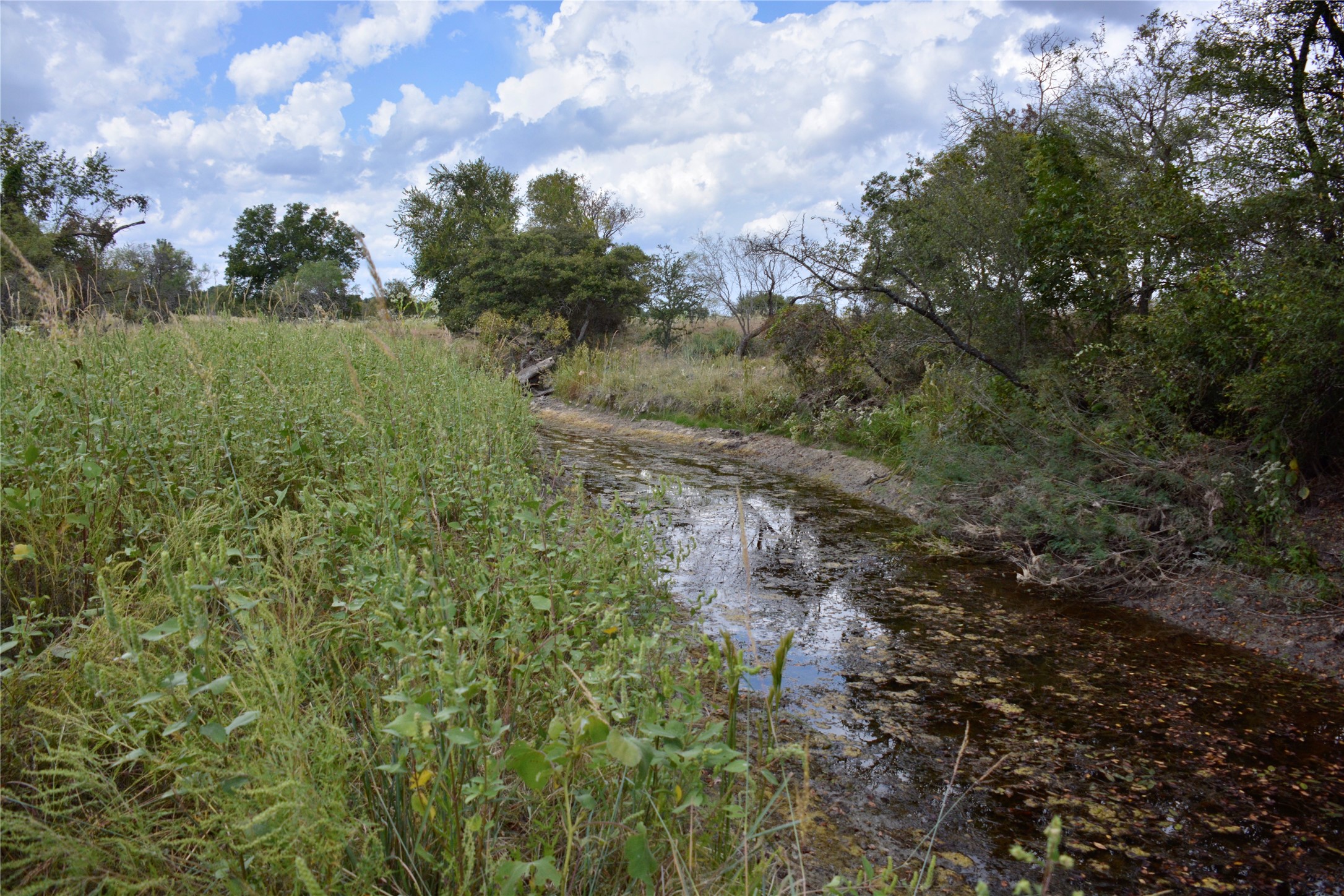 165 CR 262 , Priddy, TX, 76870 | 14681551 | Realty Texas LLC