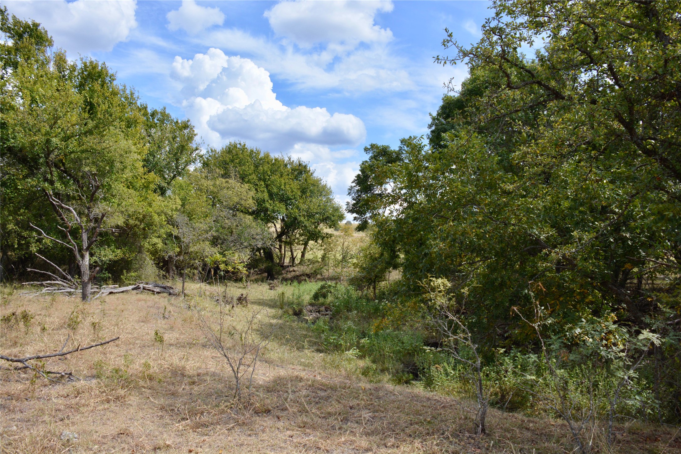 165 CR 262 , Priddy, TX, 76870 | 14681551 | Realty Texas LLC