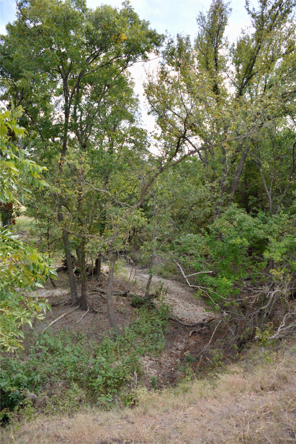 165 CR 262 , Priddy, TX, 76870 | 14681551 | Realty Texas LLC