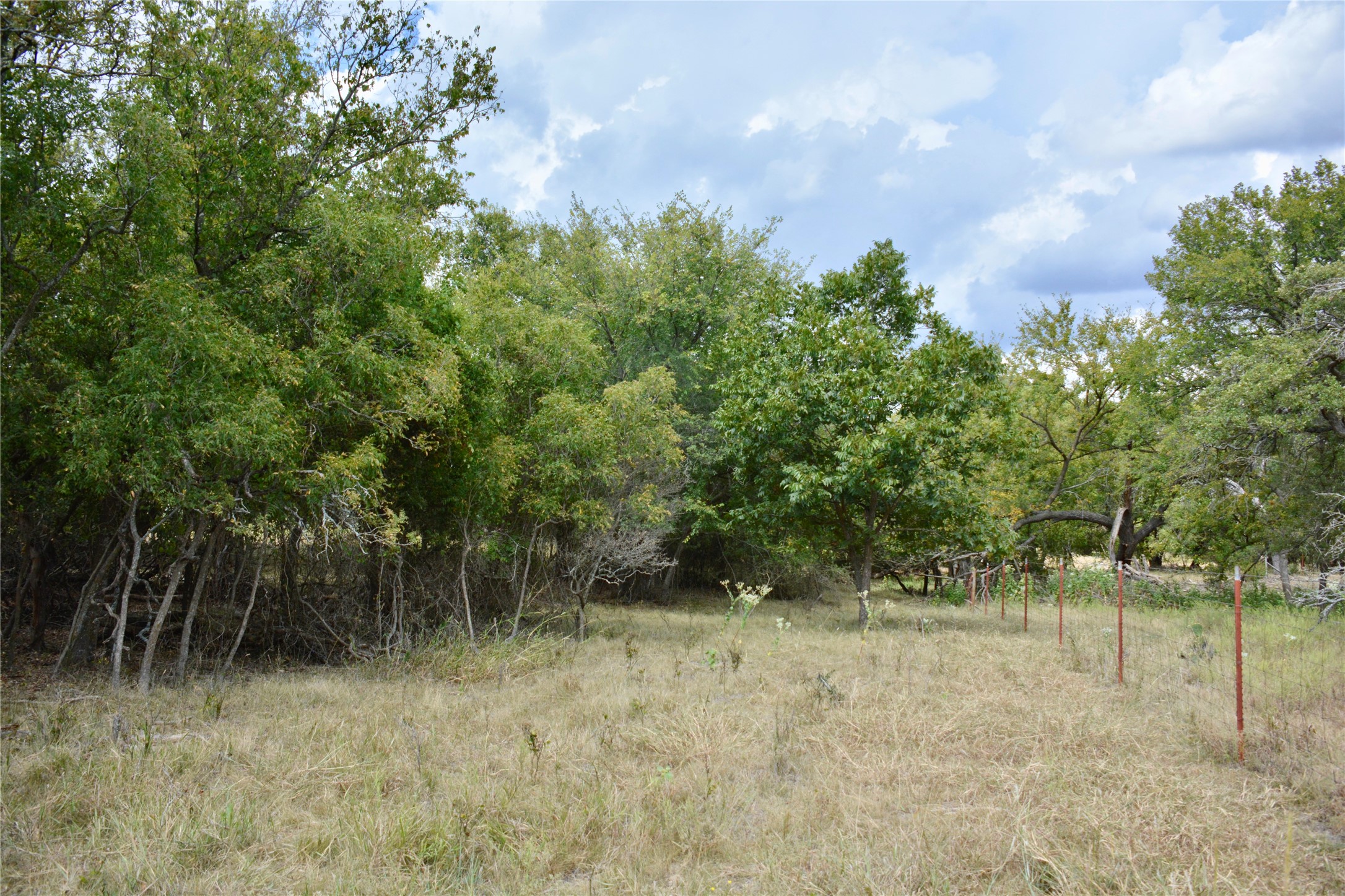 165 CR 262 , Priddy, TX, 76870 | 14681551 | Realty Texas LLC