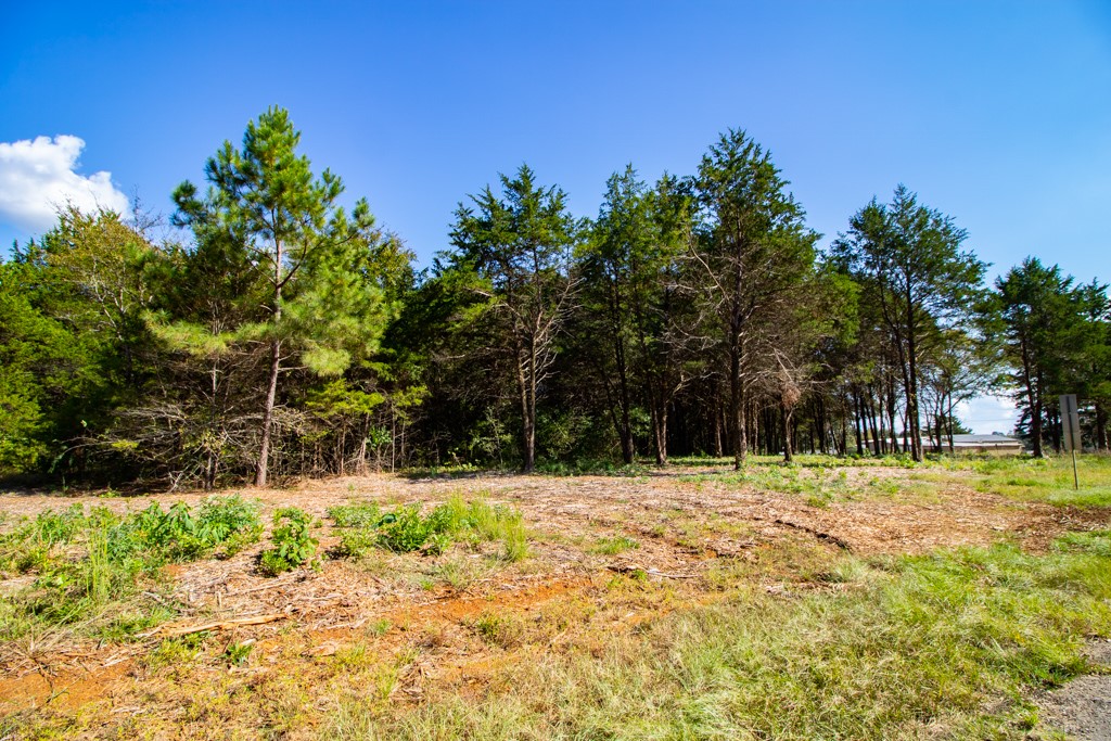 TBD CR 4173 , Tyler, TX, 75704 | 14682260 | Realty Texas LLC