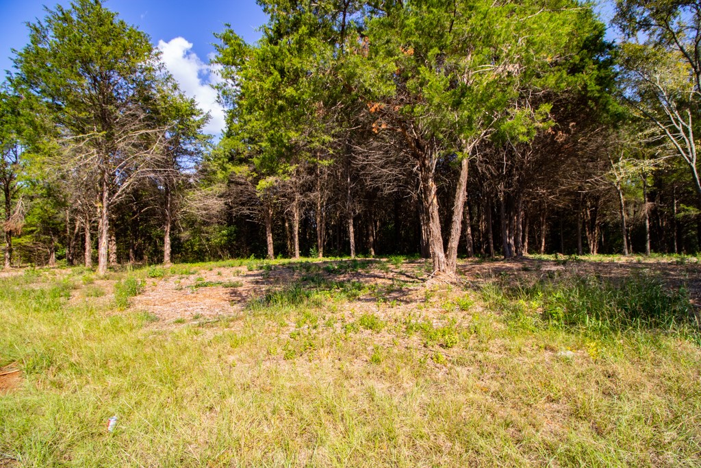 TBD CR 4173 , Tyler, TX, 75704 | 14682260 | Realty Texas LLC