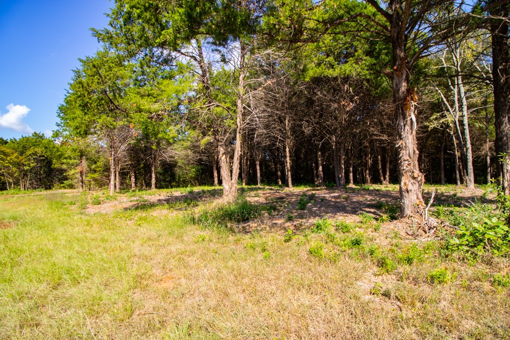 TBD CR 4173 , Tyler, TX, 75704 | 14682260 | Realty Texas LLC