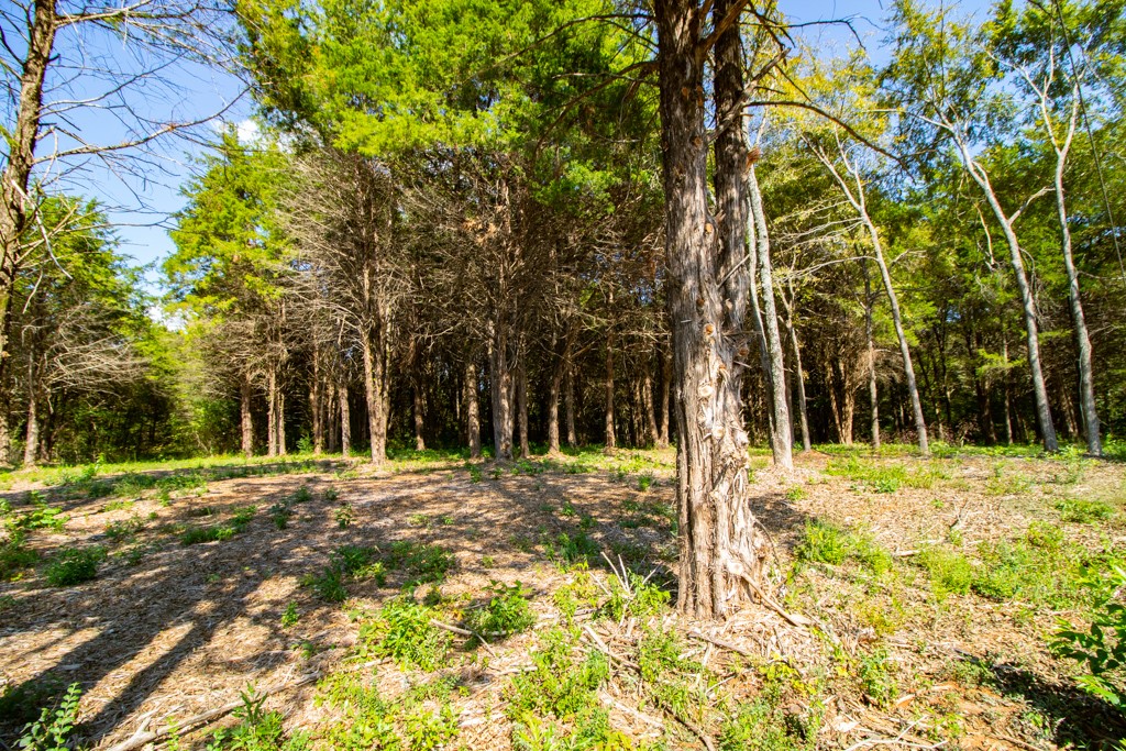 TBD CR 4173 , Tyler, TX, 75704 | 14682260 | Realty Texas LLC