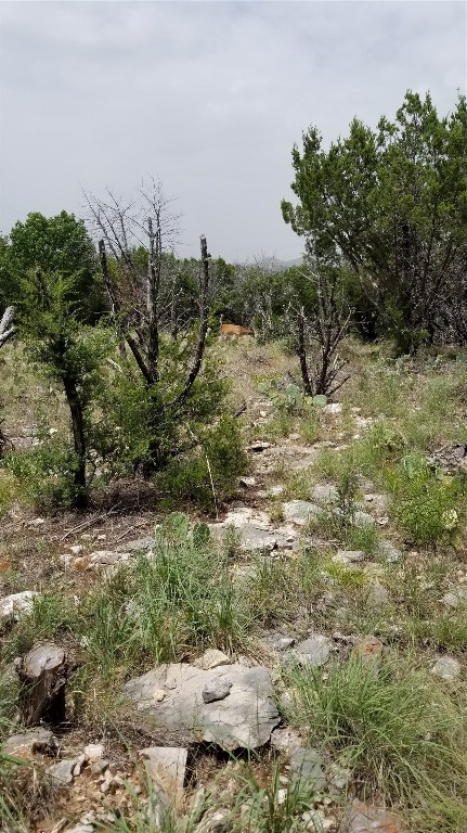 tbd Harbour Town Drive , Graford, TX, 76449 | 14460809 | Realty Texas LLC