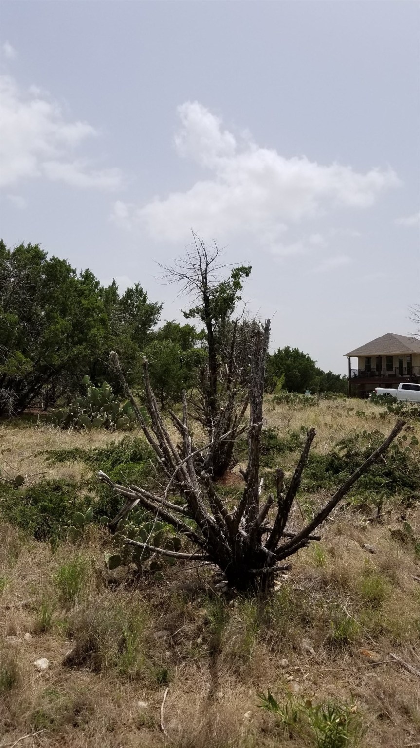 tbd Harbour Town Drive , Graford, TX, 76449 | 14460809 | Realty Texas LLC