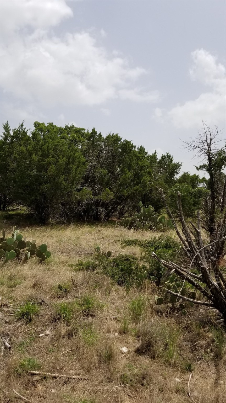 tbd Harbour Town Drive , Graford, TX, 76449 | 14460809 | Realty Texas LLC