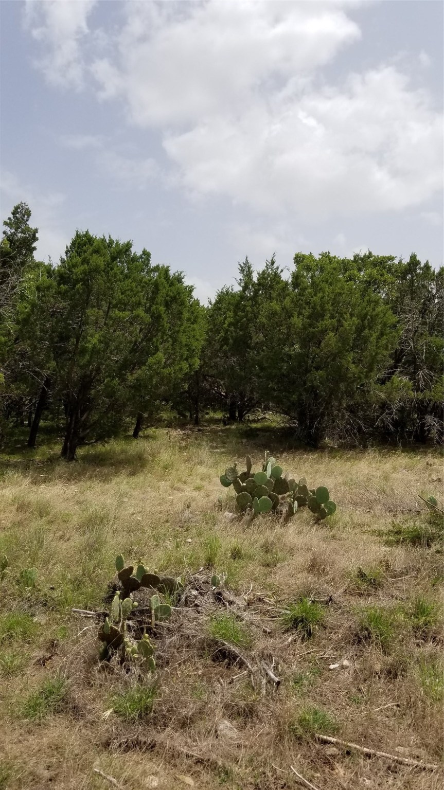 tbd Harbour Town Drive , Graford, TX, 76449 | 14460809 | Realty Texas LLC