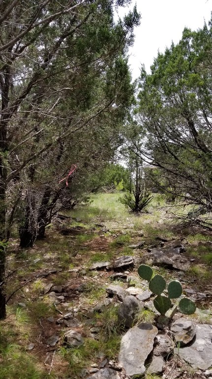 tbd Harbour Town Drive , Graford, TX, 76449 | 14460809 | Realty Texas LLC