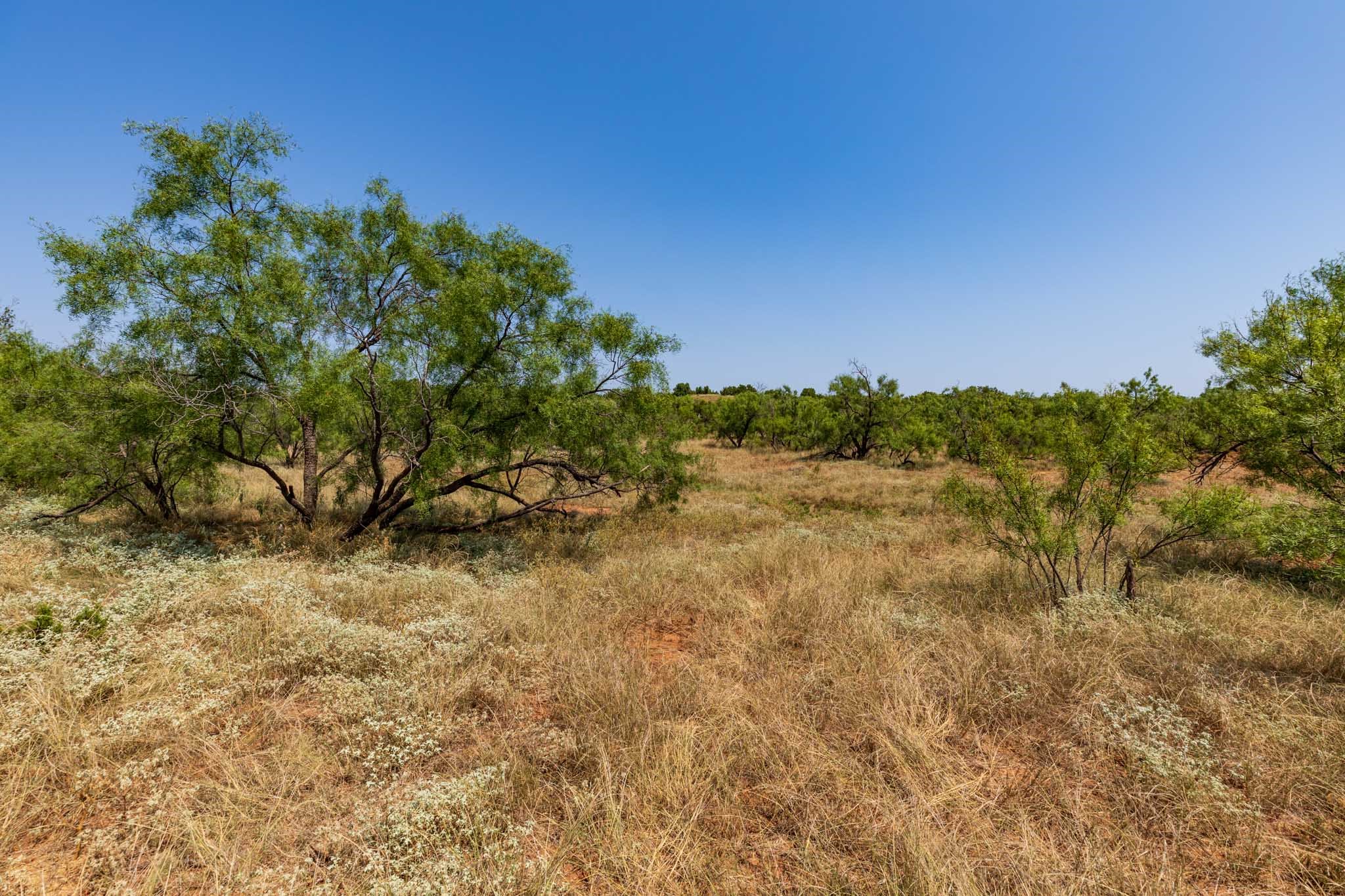 TBD CR 349 , Aspermont, TX, 79502 | 14675142 | Realty Texas LLC