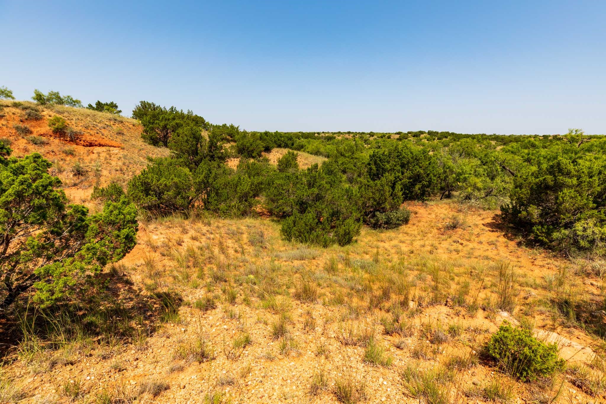 TBD CR 349 , Aspermont, TX, 79502 | 14675142 | Realty Texas LLC