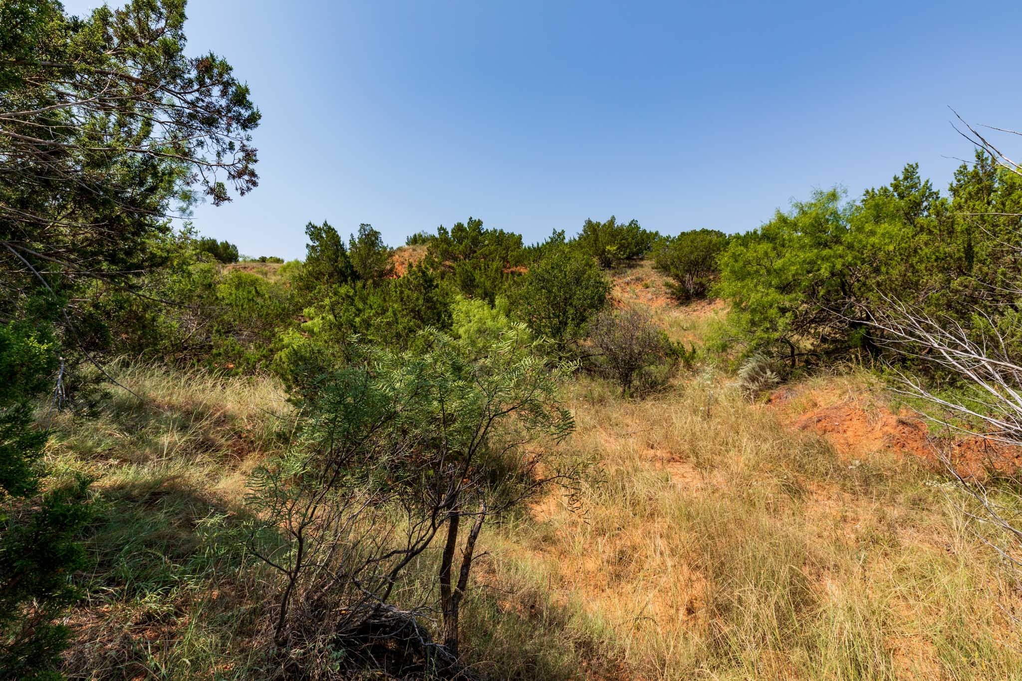 TBD CR 349 , Aspermont, TX, 79502 | 14675142 | Realty Texas LLC