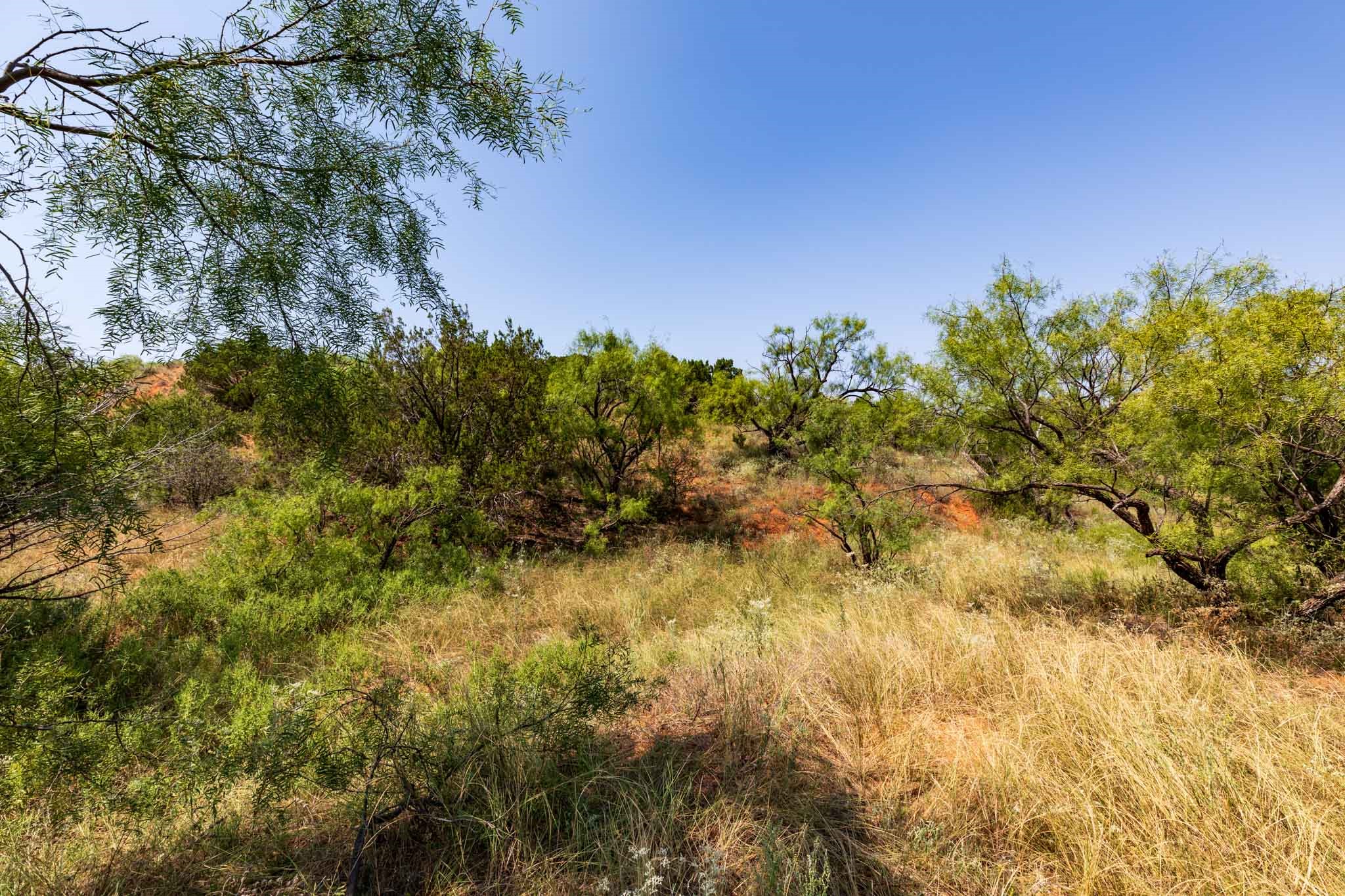 TBD CR 349 , Aspermont, TX, 79502 | 14675142 | Realty Texas LLC