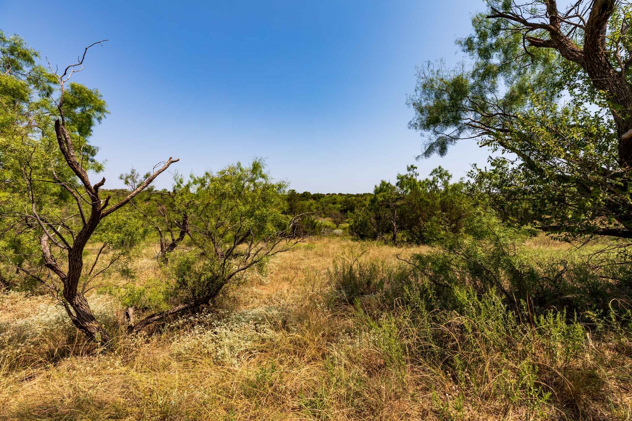 TBD CR 349 , Aspermont, TX, 79502 | 14675142 | Realty Texas LLC