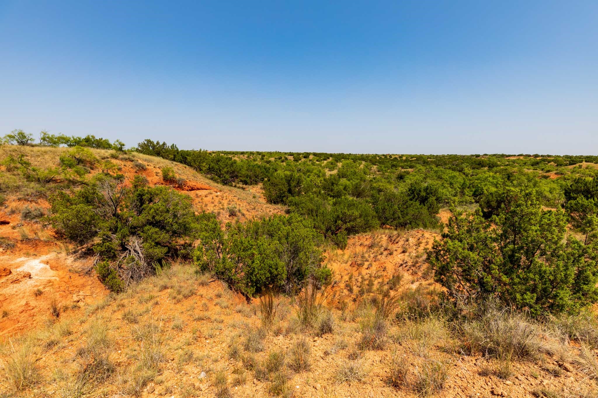 TBD CR 349 , Aspermont, TX, 79502 | 14675142 | Realty Texas LLC