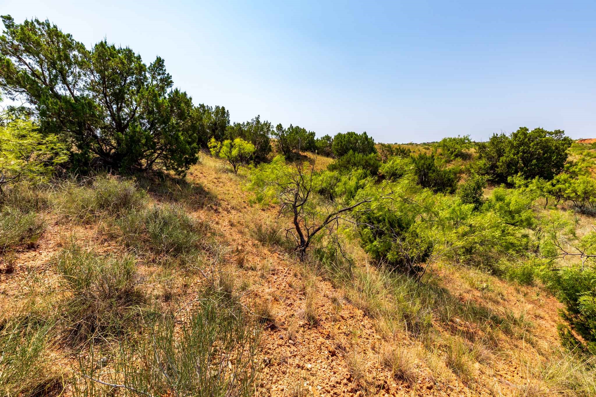 TBD CR 349 , Aspermont, TX, 79502 | 14675142 | Realty Texas LLC