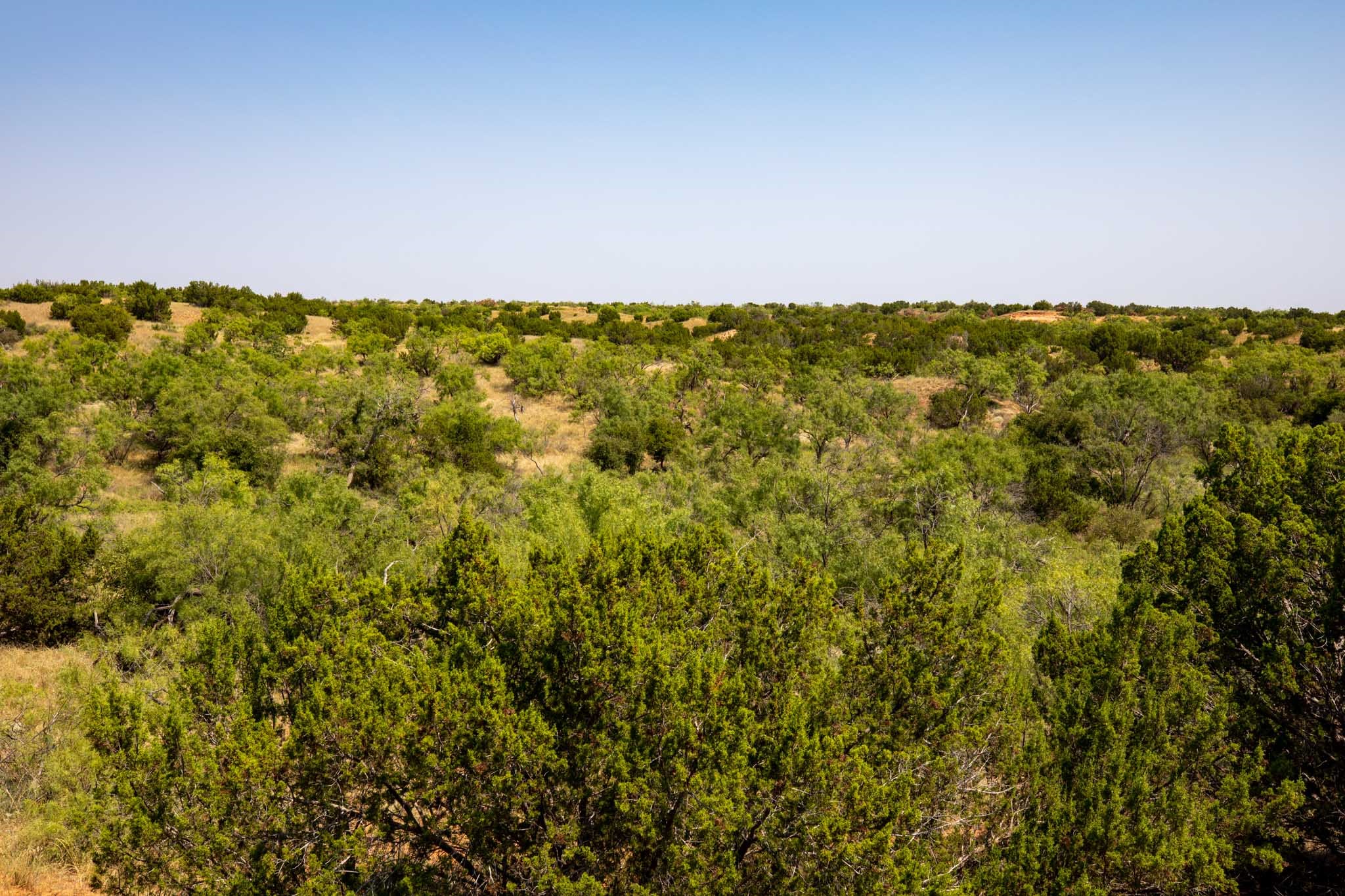 TBD CR 349 , Aspermont, TX, 79502 | 14675142 | Realty Texas LLC