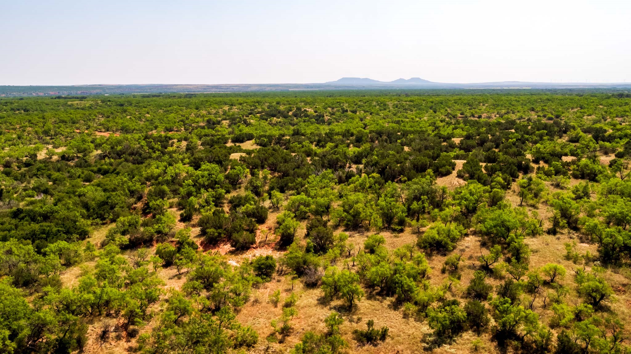 TBD CR 349 , Aspermont, TX, 79502 | 14675142 | Realty Texas LLC