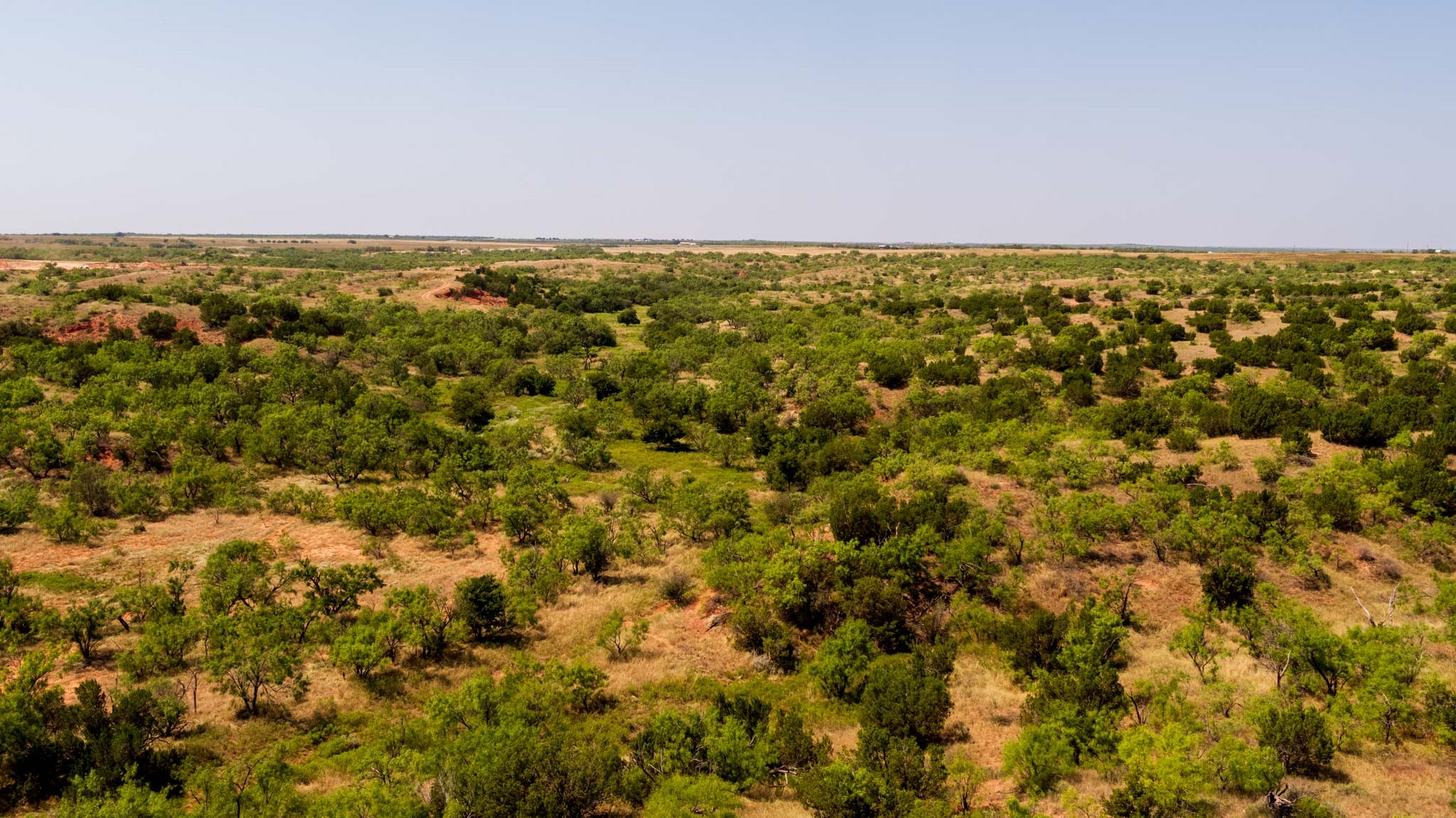 TBD CR 349 , Aspermont, TX, 79502 | 14675142 | Realty Texas LLC
