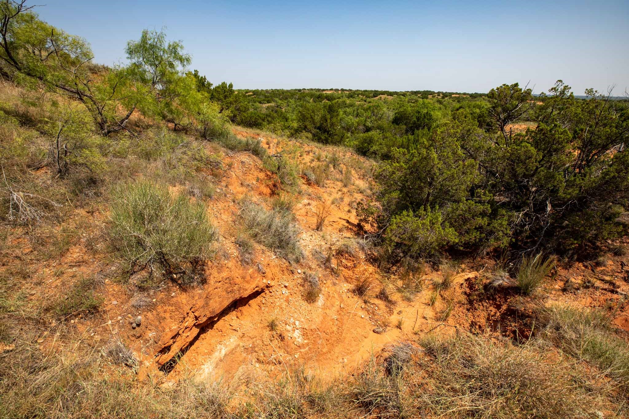 TBD CR 349 , Aspermont, TX, 79502 | 14675142 | Realty Texas LLC
