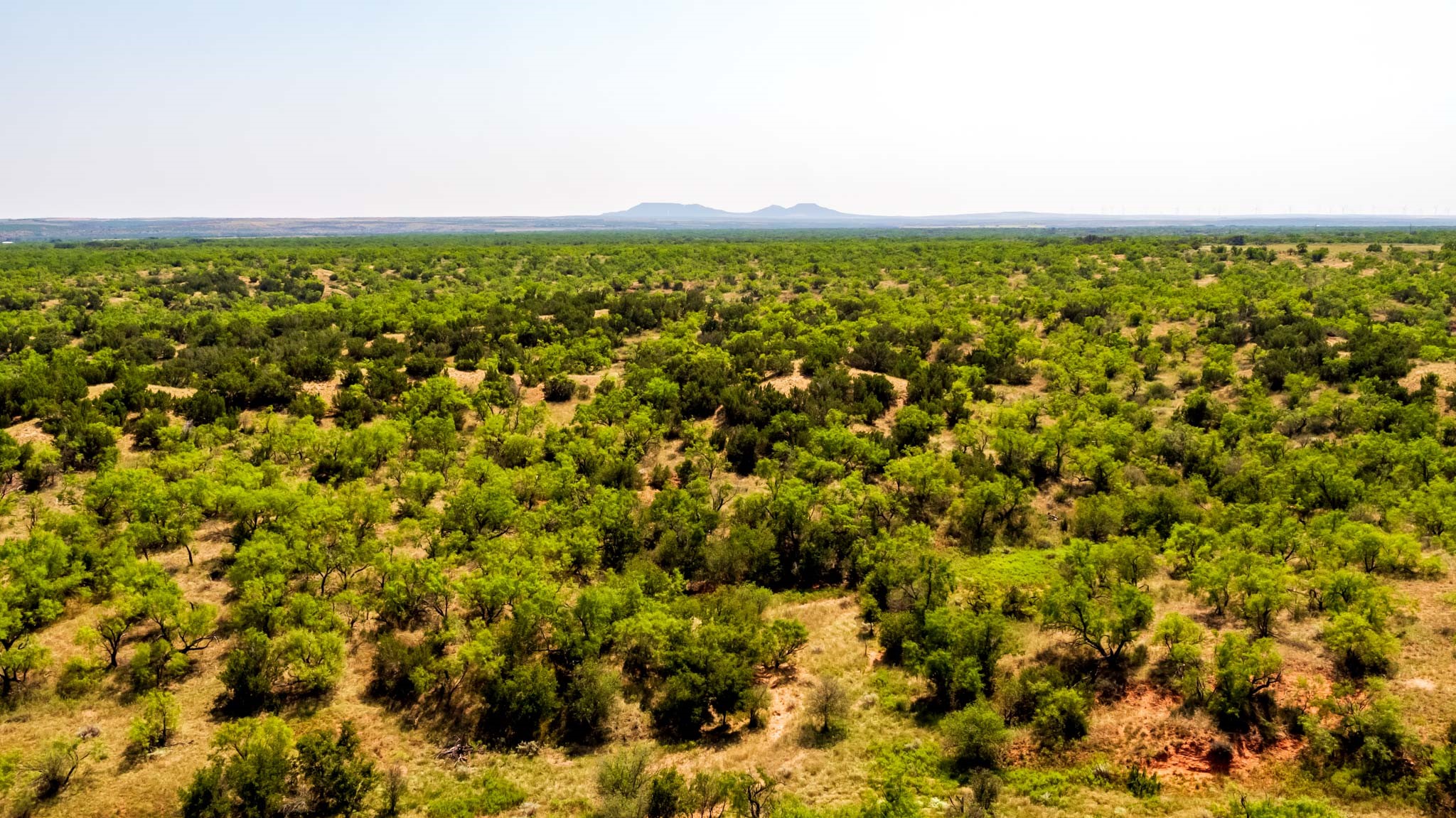 TBD CR 349 , Aspermont, TX, 79502 | 14675142 | Realty Texas LLC
