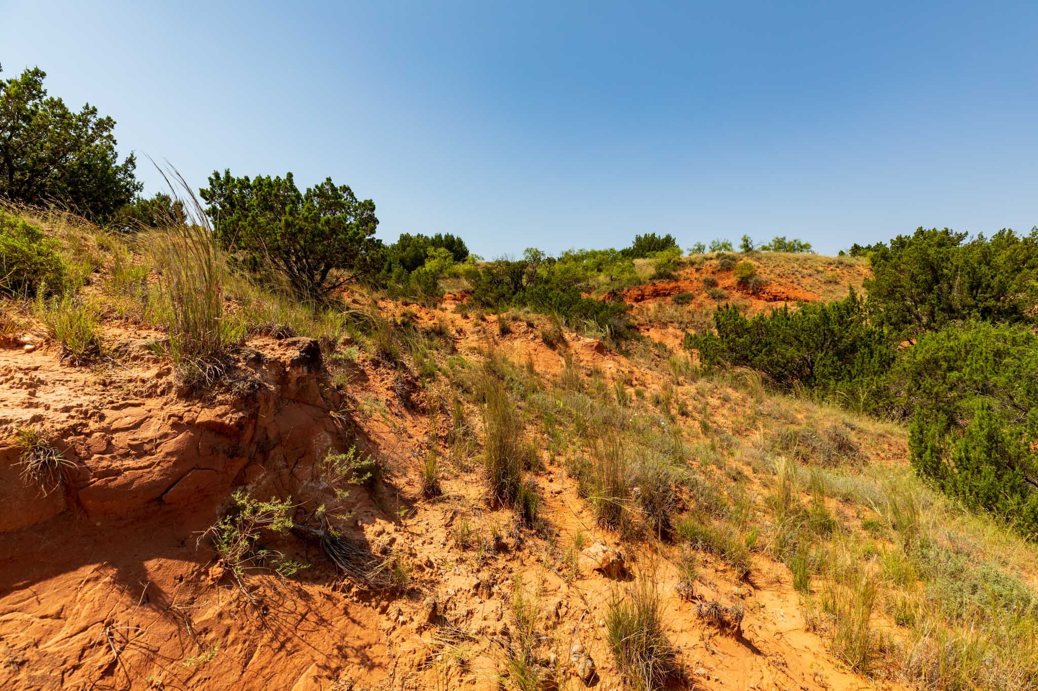 TBD CR 349 , Aspermont, TX, 79502 | 14675142 | Realty Texas LLC
