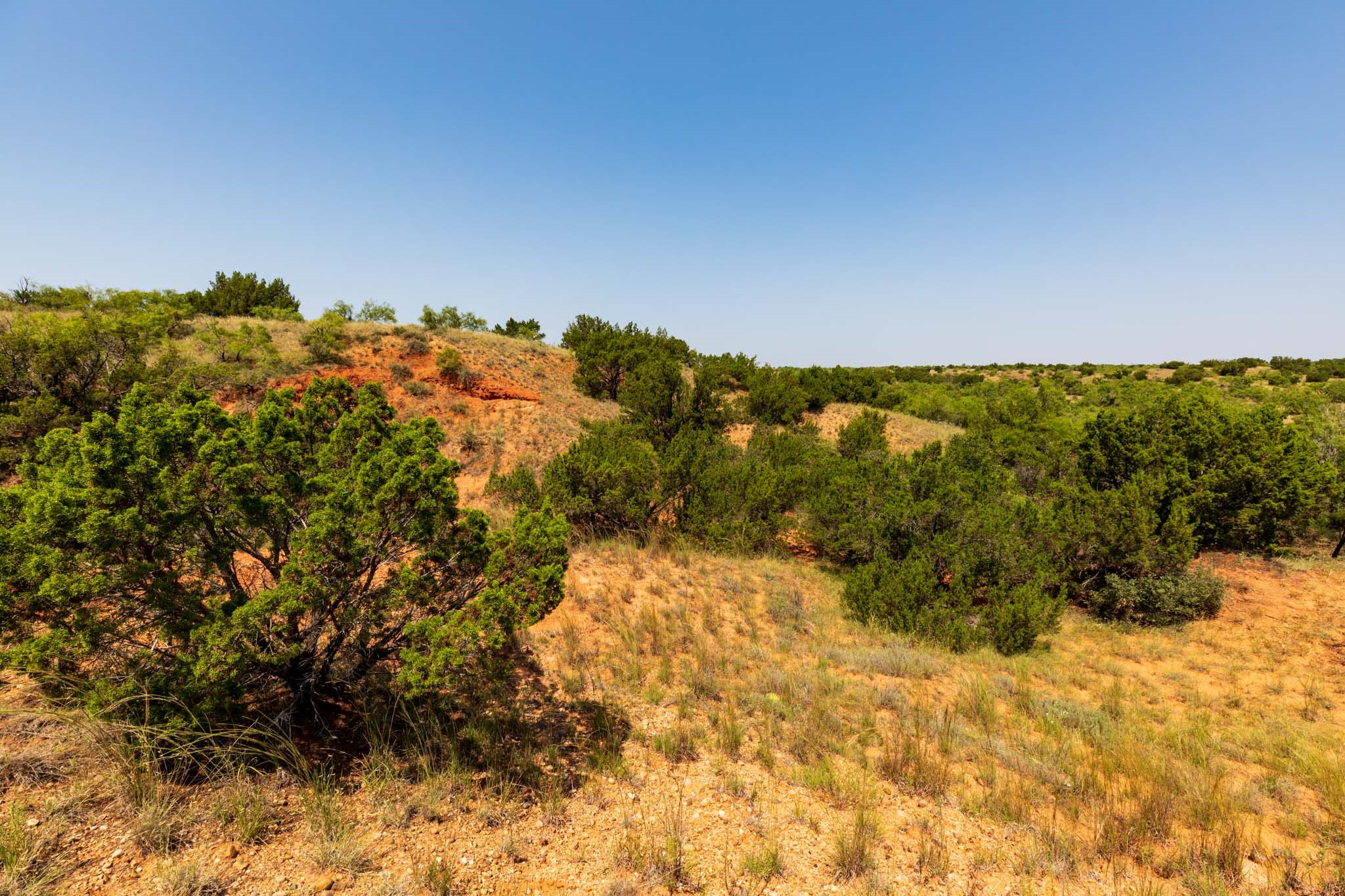TBD CR 349 , Aspermont, TX, 79502 | 14675142 | Realty Texas LLC